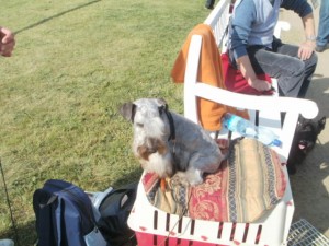 Čekáme na posouzení u kruhu